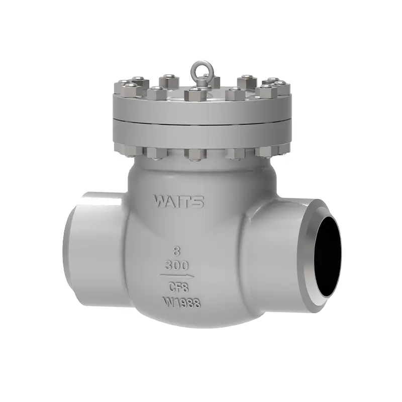 Cryogenic Swing Check Ventil