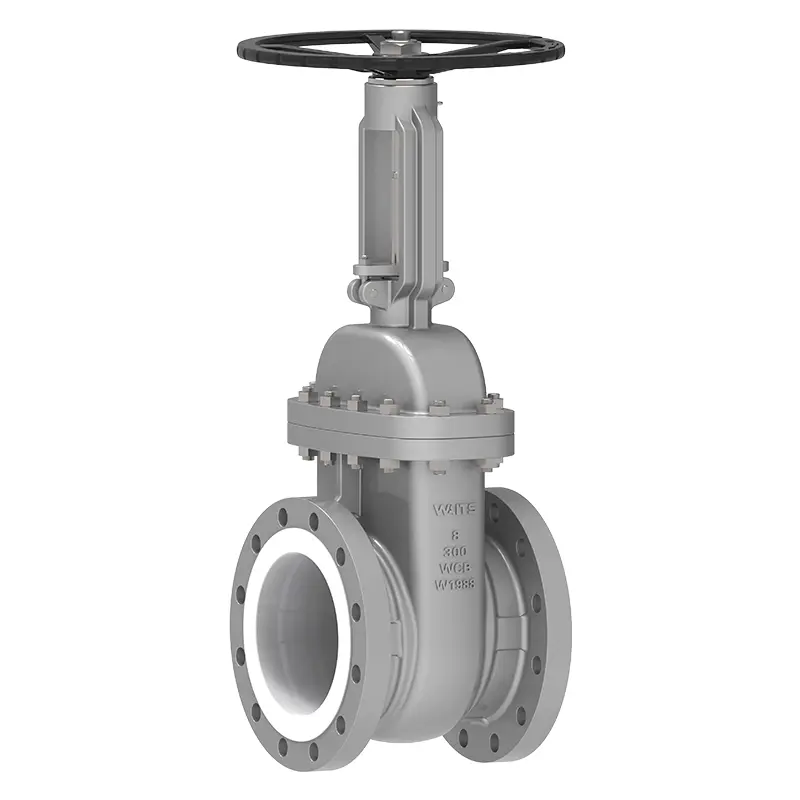 Ptfe -fodrad grindventil‌‌